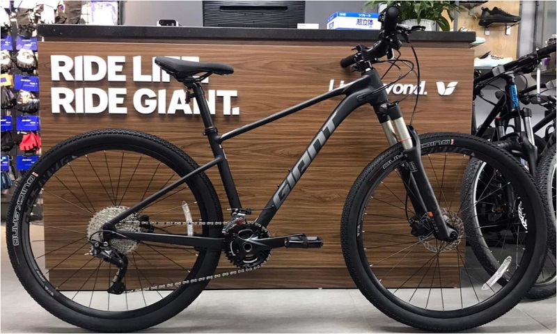 Một trong các hãng xe đạp thể thao uy tín: Giant
