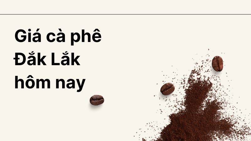 Cập nhật giá cà phê Đắk Lắk hôm nay