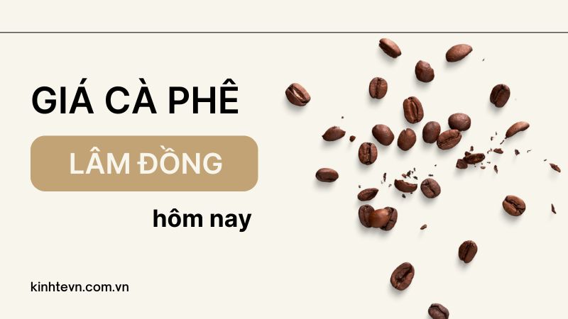 Giá cà phê Lâm Đồng hôm nay - Cập nhật mới nhất