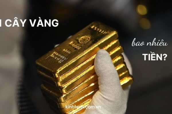 1 cây vàng bao nhiêu tiền? Lưu ý khi mua vàng