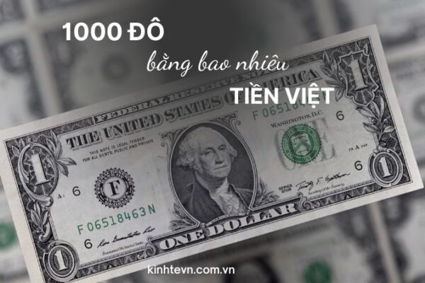 1000 đô bằng bao nhiêu tiền Việt Nam? Tỷ giá USD/VND?