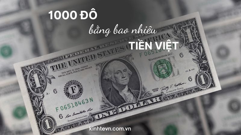 1000 đô bằng bao nhiêu tiền Việt Nam? Tỷ giá USD/VND?