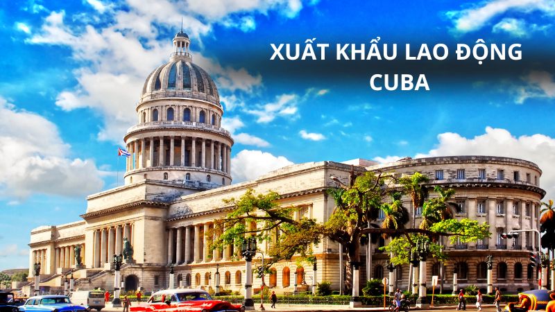 Xuất khẩu lao động Cuba: Điều kiện, quyền lợi, thủ tục