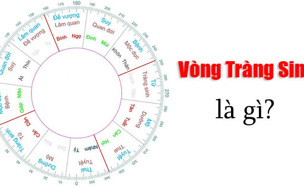 cach-tinh-sinh-con-theo-vong-trang-sinh-1