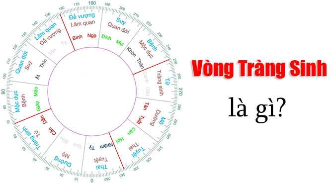 cach-tinh-sinh-con-theo-vong-trang-sinh-1