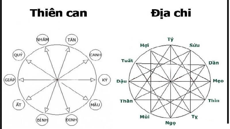 cach-tinh-tuoi-con-hop-tuoi-bo-me