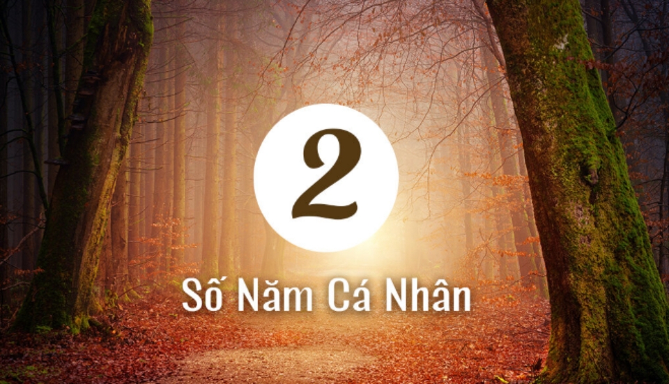 nam-ca-nhan-trong-than-so-hoc-la-gi-1