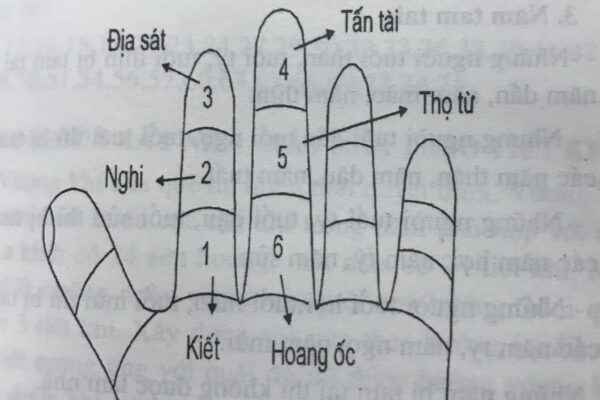 tuoi-tan-dau-1981-lam-nha-nam-2025-duoc-khong