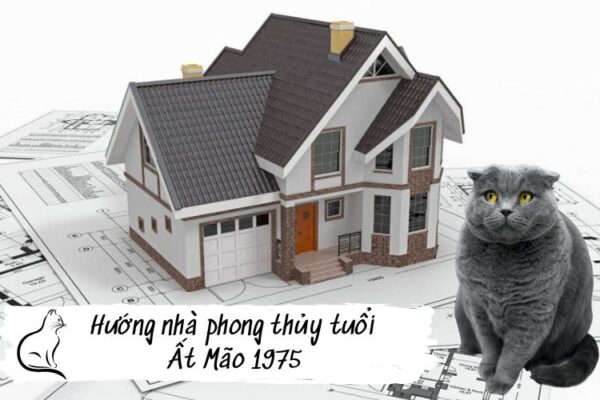 tuoi-at-mao-lam-nha-hop-huong-nao