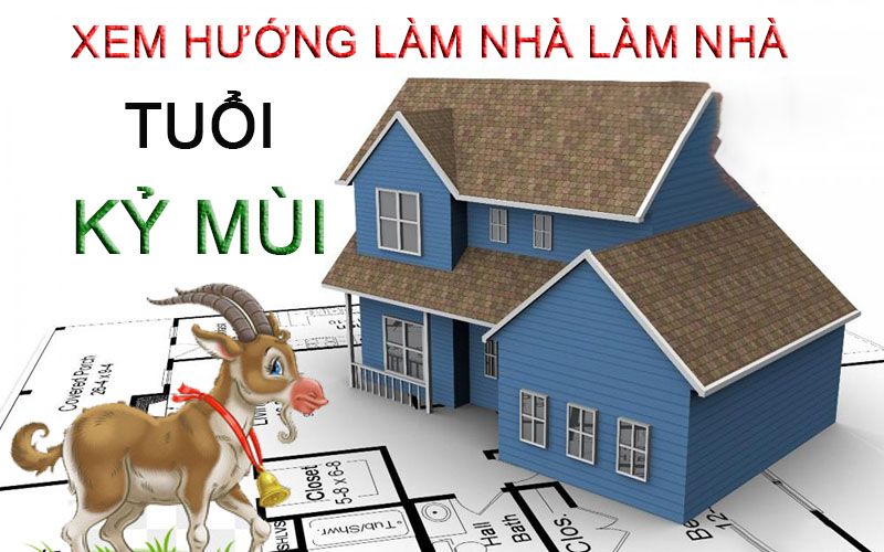 tuoi-ky-mui-hop-voi-huong-nha-nao