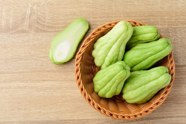 Cách trồng su su đúng kỹ thuật và cách chăm sóc hợp lý